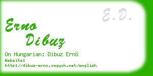 erno dibuz business card