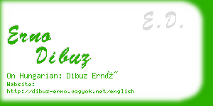 erno dibuz business card